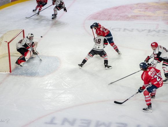 324848595_2254766688026700_4356555966549281593_n